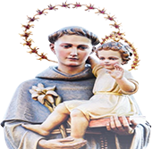 St. Anthonys St. Anthonys